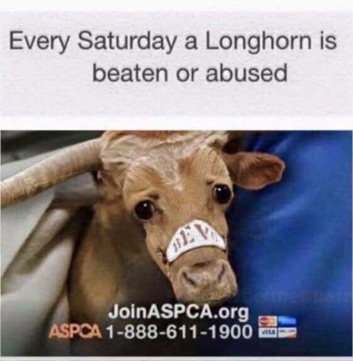 81DC796B-43F9-4B6D-B7D3-8C9E92C096B2